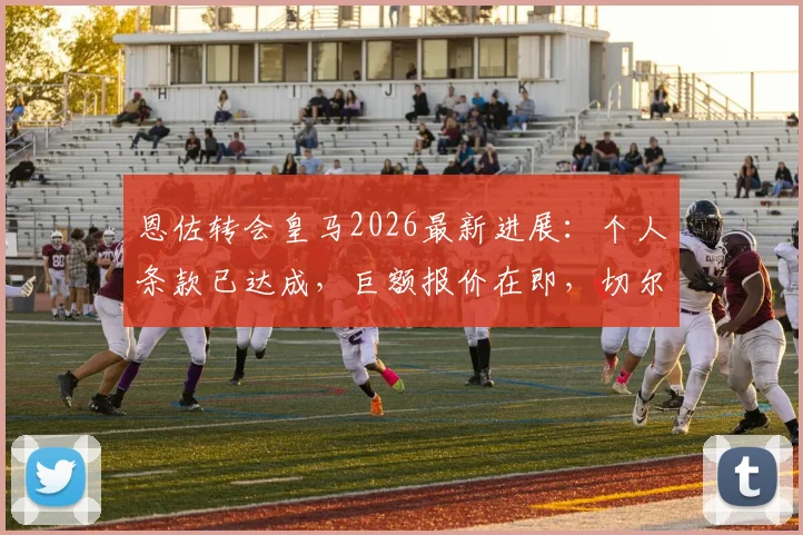 恩佐转会皇马2026最新进展:个人条款已达成,巨额报价在即,切尔西如何应对?